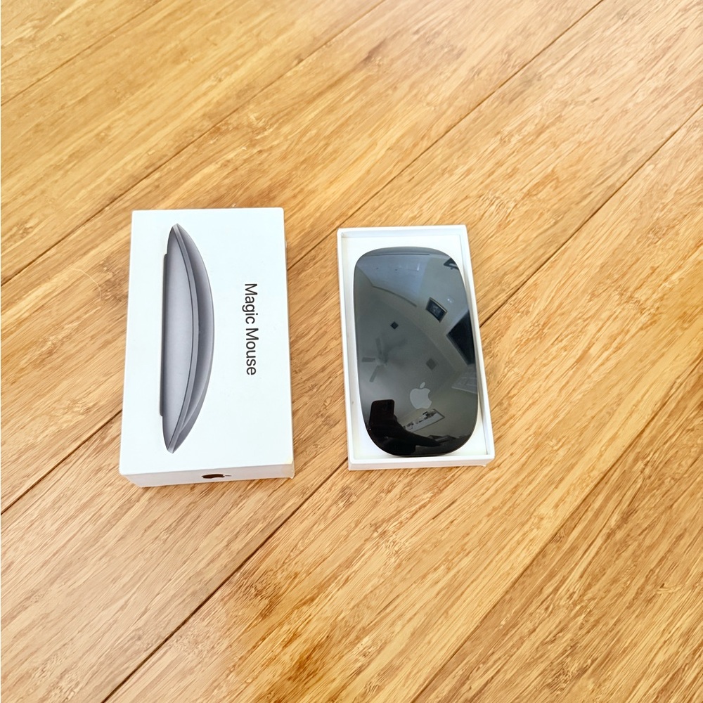 Apple Magic Mouse in Black and Silver